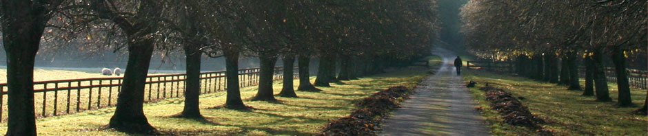 Kunterbunt